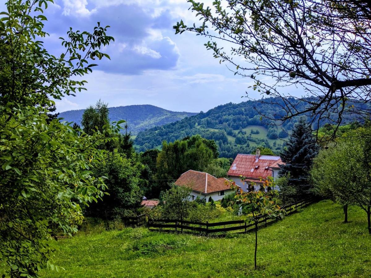 The Magical Paths Daire Kremnica Dış mekan fotoğraf